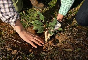 Cheap loans for farmers under green bank scheme
