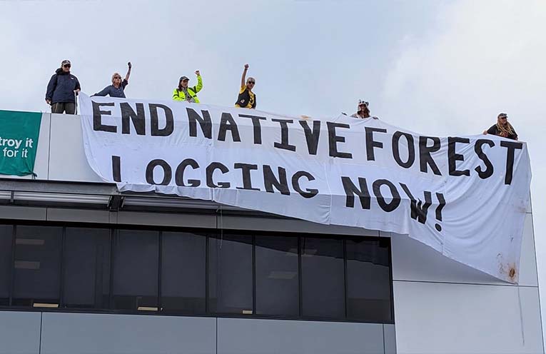 Women charged over rooftop protest in Coffs Harbour