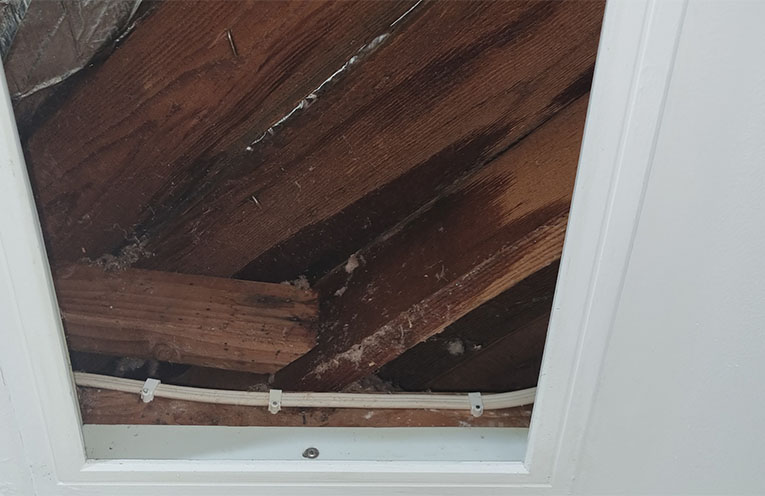 Residents urged to be aware of mould impacts after floods