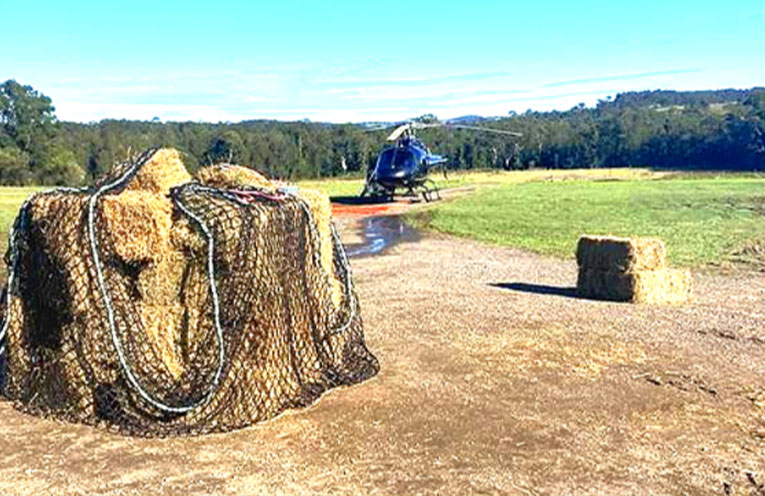 Fodder drops provide lifeline to flooded farmers