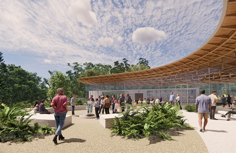 Environmental review released for proposed Dorrigo rainforest centre
