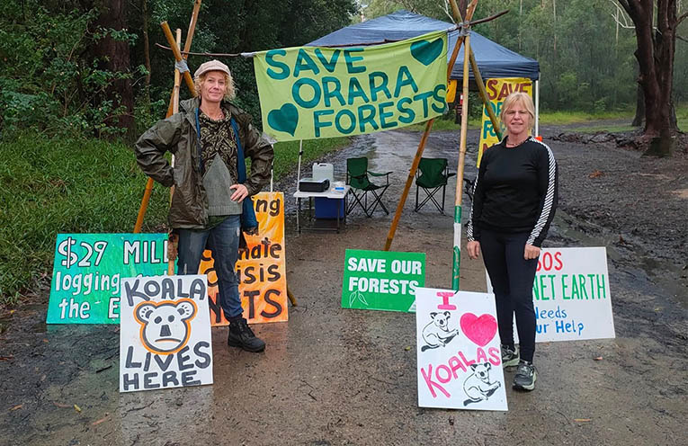 Neighbours to join picnic to ‘Save Mount Coramba’