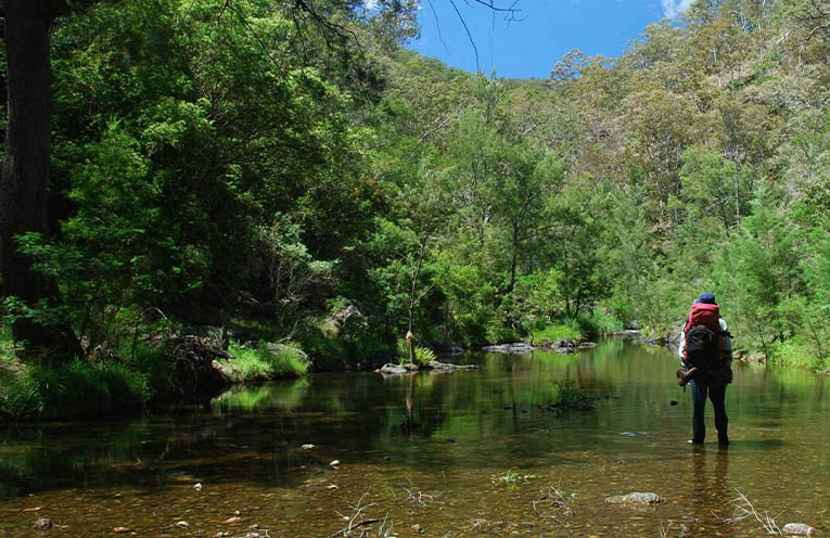 Campaign to promote state’s Great Walks