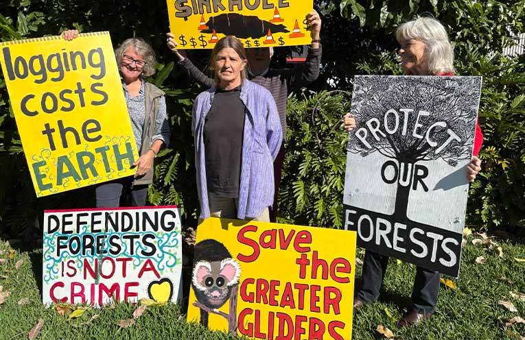 Appeals upheld for Clouds Creek logging protesters