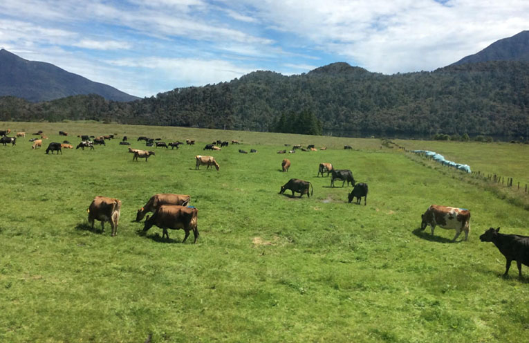 Bright spots in agriculture amid market volatility