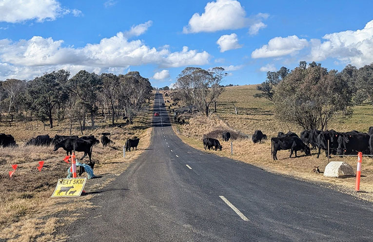 Annual farm census underway across NSW