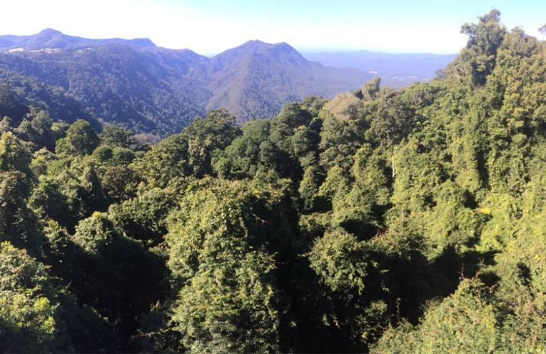 Bellingen Shire reaffirms GKNP Support