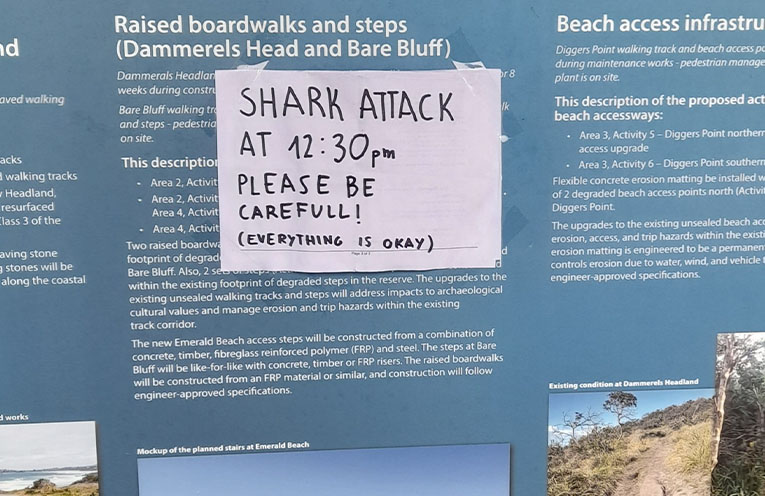 Concerns raised over recent spate of shark incidents