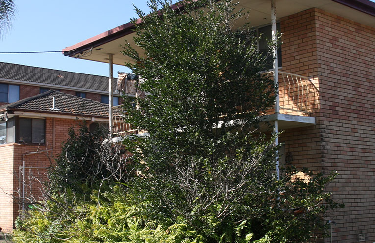 ‘I’ve lived here 20 years’: disabled tenant caught in eviction struggle