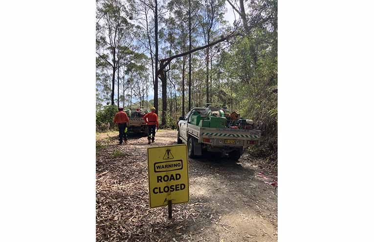 The state forest has been closed due to the impacts of severe storms.