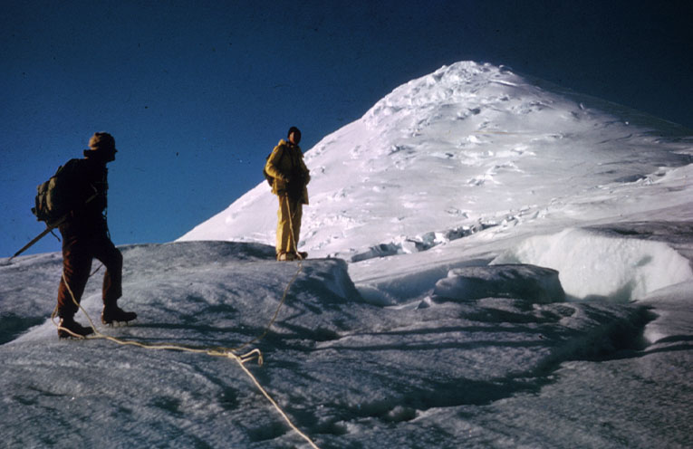 The Great White Whale: An encore screening at Jetty Memorial Theatre