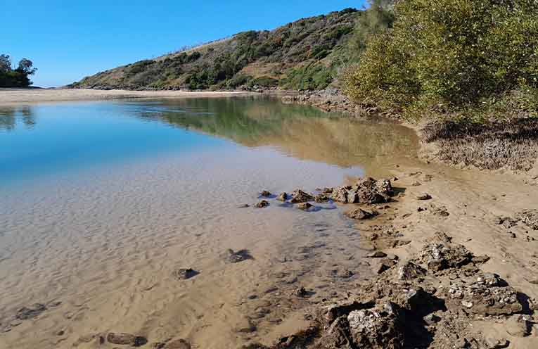 Estuary management plan placed on public exhibition