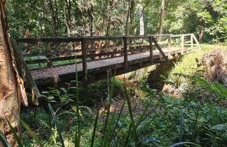 Students and Elders shape Dorrigo’s new footbridge