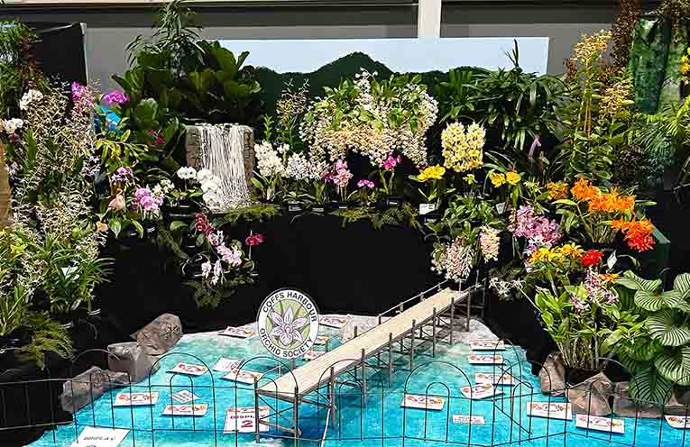 Whoopee for Woopi’s hosting of orchid conference and show