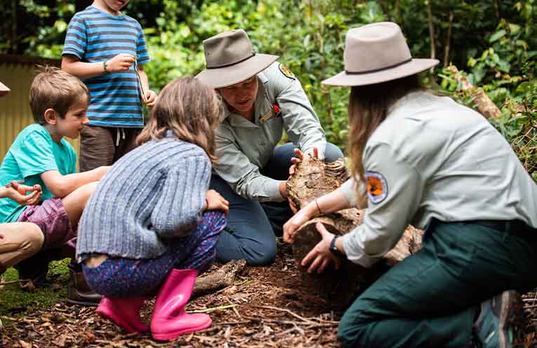 From twilight tours to rainforest walks, there’s something for everyone.