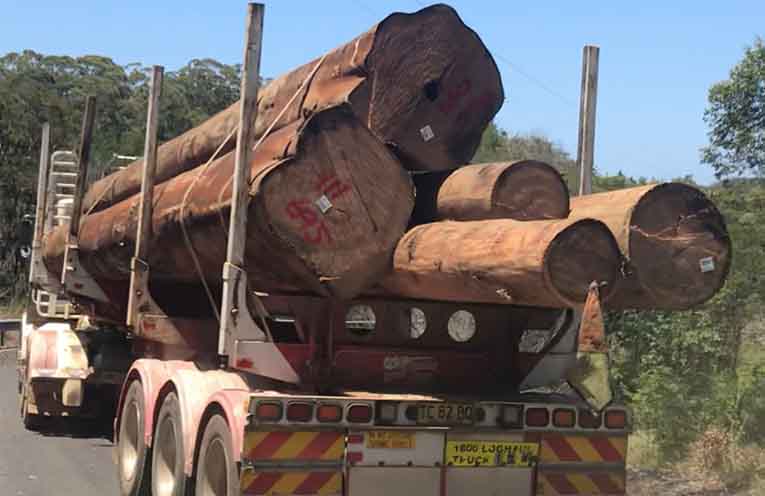 Forestry losses criticised after release of annual report