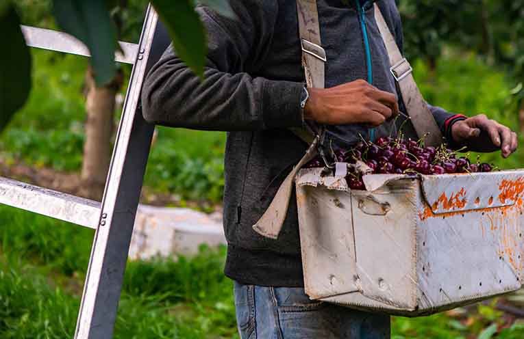 Modern Slavery Committee meets in Coffs Harbour