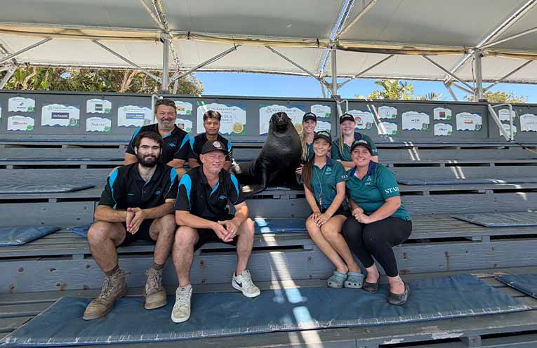 Veteran-owned business leads grandstand upgrade at Coffs Coast Wildlife Sanctuary