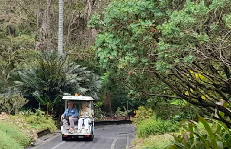 Coffs Harbour’s Botanic Garden full of delights