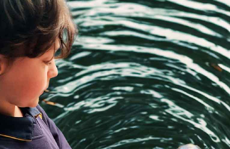 OzGREEN launches the Rethink Waste Ideas competition