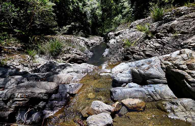 PROP_Coldwater Creek 5