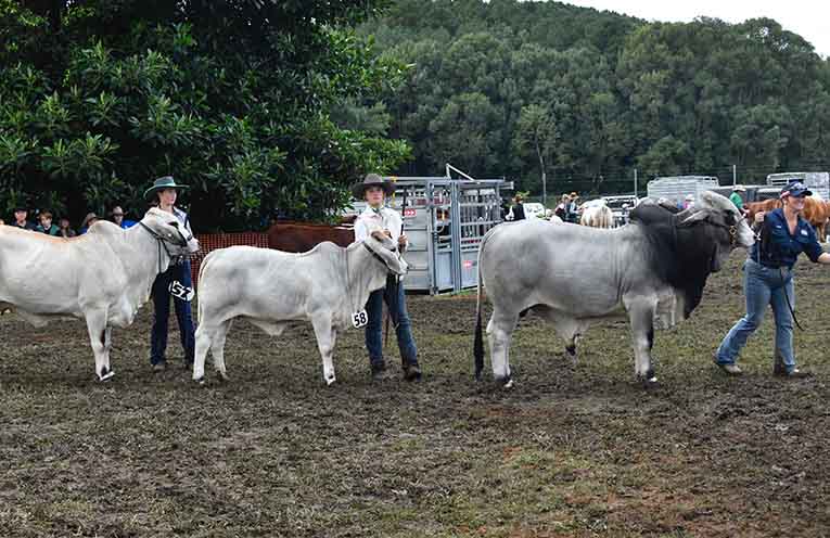 Bellingen Show introduces new way to support young leaders