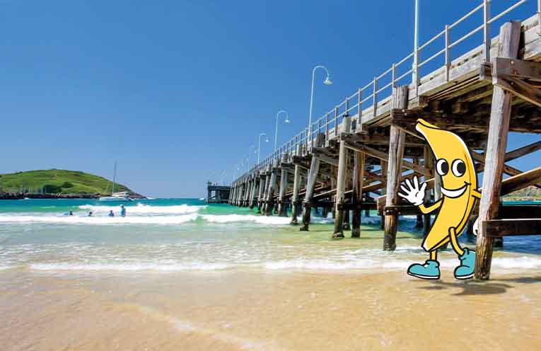 Coffs set to go bananas for world record attempt