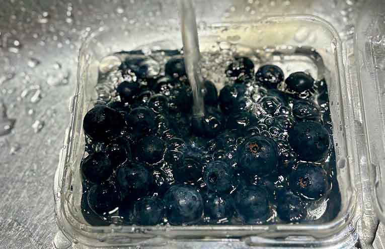 Tests confirm blueberries are safe to eat