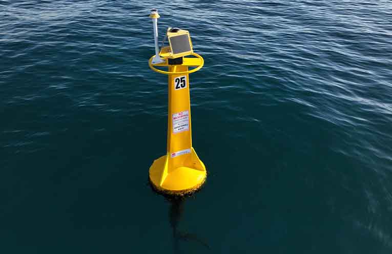 Coffs votes for shark monitoring extension to northern beaches