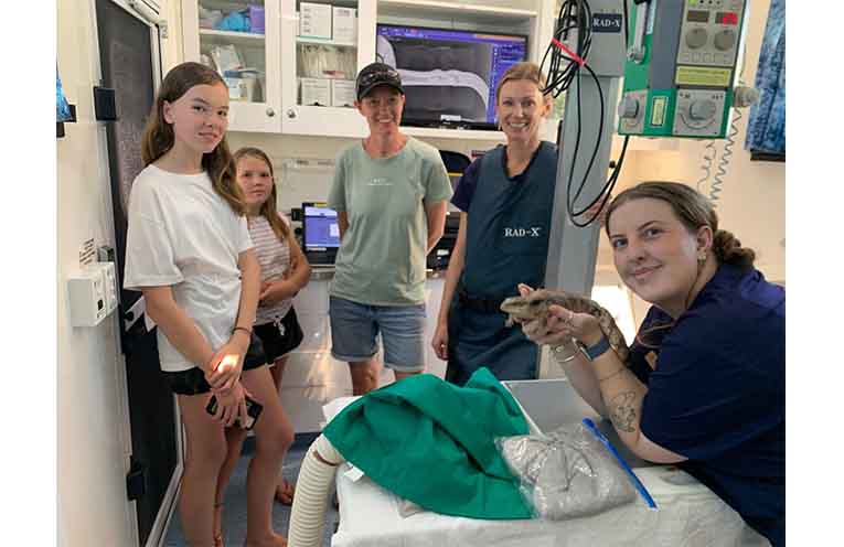 Mobile wildlife hospital visits Coffs sanctuary