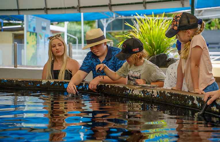 The hands-on program gives participants a real glimpse into the world of marine wildlife care.