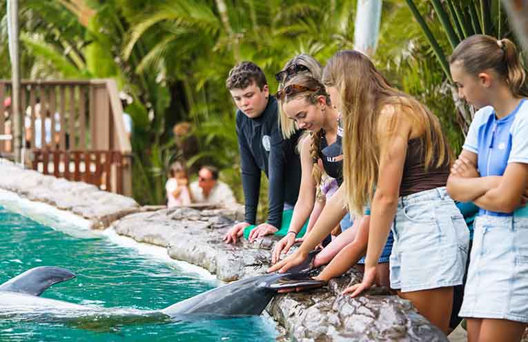 The hands-on program gives participants a real glimpse into the world of marine wildlife care.