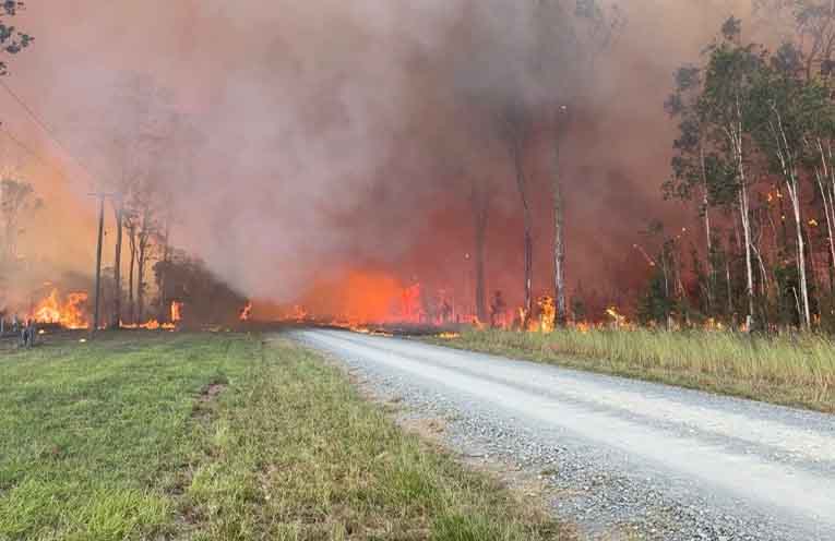 AI cameras spotted more than 1000 bushfires over summer
