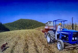 Guy Gilmour the guest artist at Glenreagh Cedar and Steam exhibition