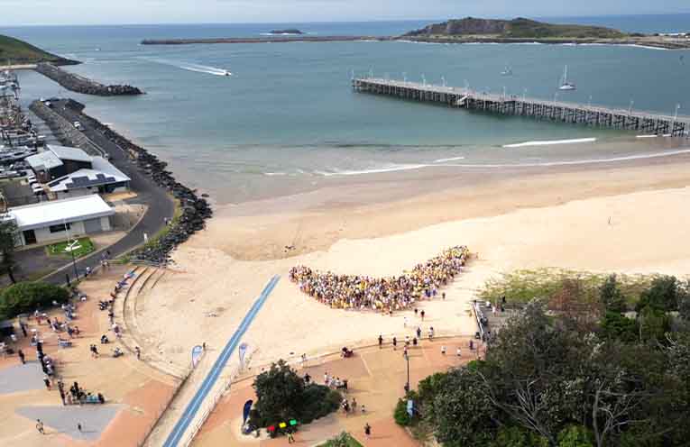 Coffs goes bananas for record attempt