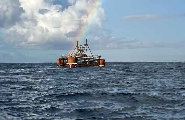 Artificial reef to bring fresh fishing opportunities to Coffs Harbour