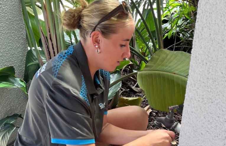 Coffs apprentice plumber among increasing number of women taking up trades