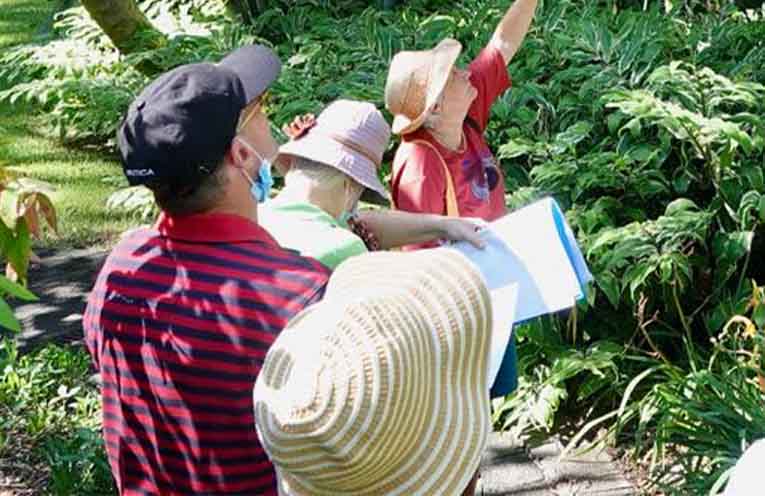 ADVERTISING FEATURE: Health and wellbeing in the green heart of Coffs