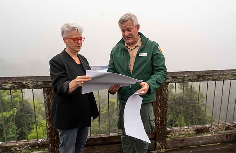 Construction begins on Dorrigo Escarpment Great Walk