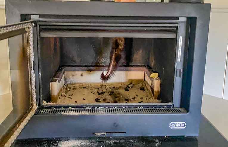 Cooler weather sees spike in possums trapped in chimneys