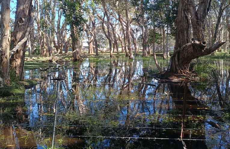 Flood of submissions against Sandy Beach development proposal