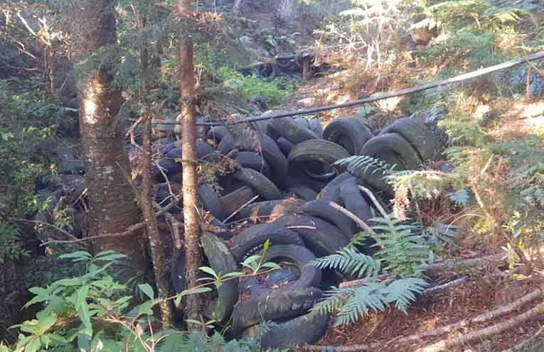 Tyres dumped in the creek at Lowanna. Photos: supplied.