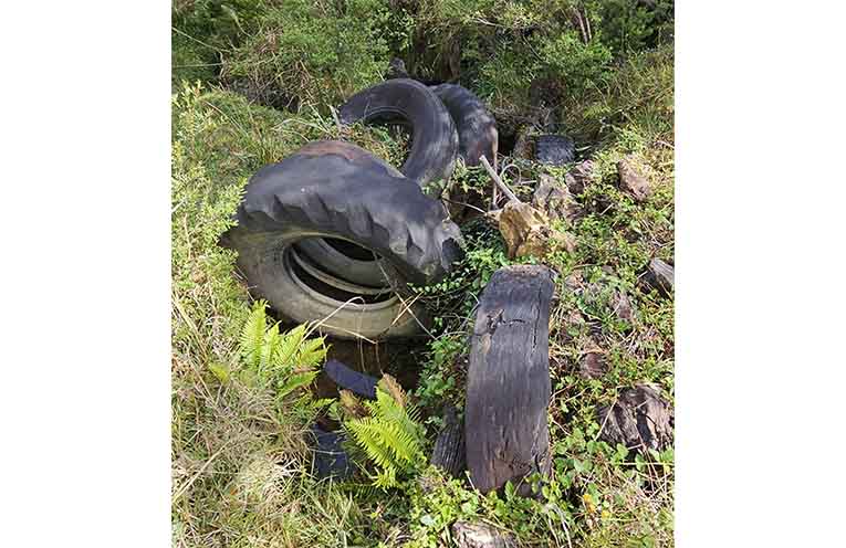 Tyres dumped in the creek at Lowanna. Photos: supplied.