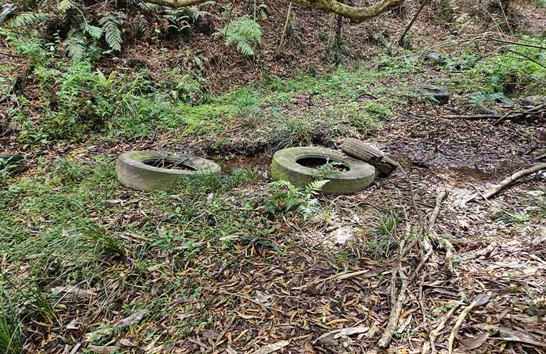 Tyres dumped in the creek at Lowanna. Photos: supplied.