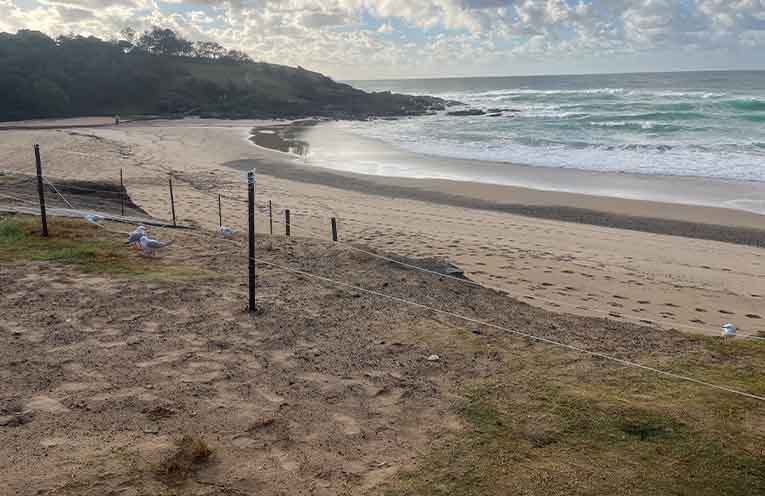 Warning signs removed after erosion at the north end of Park Beach.