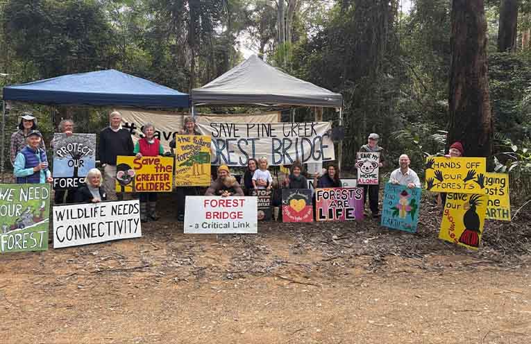 Locals continue to advocate for forest protection