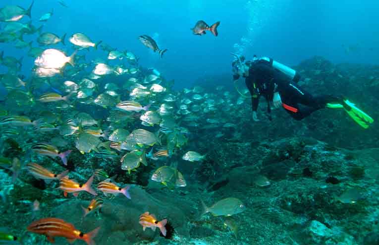 New report recommends major improvements for Solitary Islands Marine Park