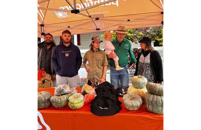 NEWS_Pumpkin_Run_AF_PY2