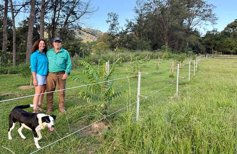 Grahame and Rochelle have fenced off part of the Orara River and are revegetating the riverbank with native species. Photo: supplied