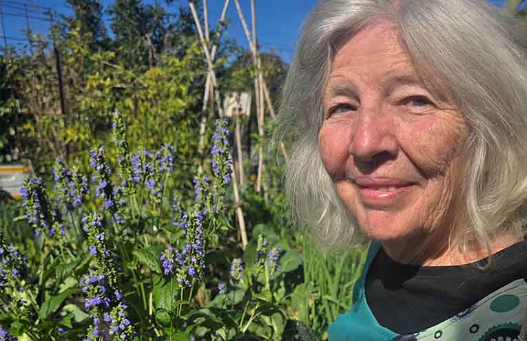 Permaculture certificate provides pathway for many fields